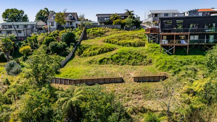 63b Heta Road Highlands Park_5