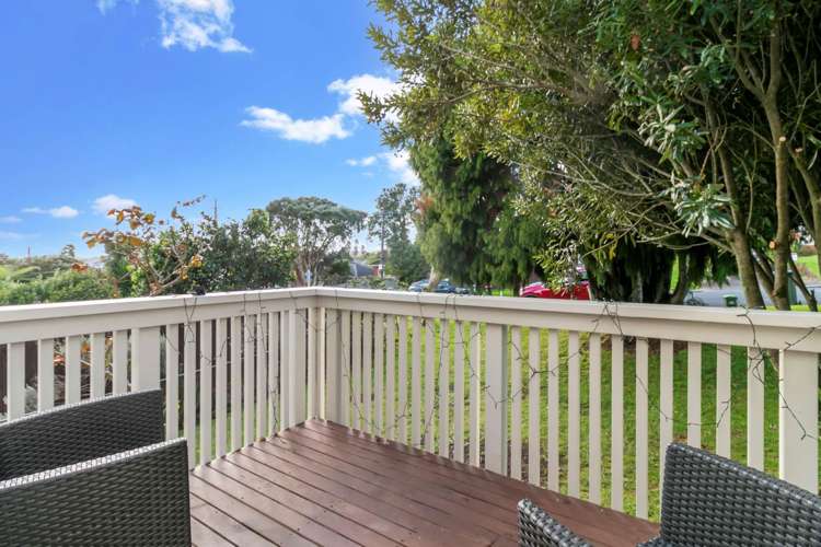 17 Carlton Street Hillsborough_12