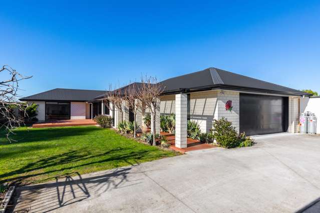 22a Waipuna Street Mayfield_2