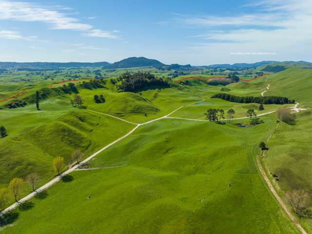 385 Whirinaki Valley Road Rotorua Surrounds_2