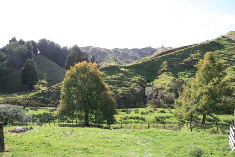 4869 Ohura Road Pohokura_14