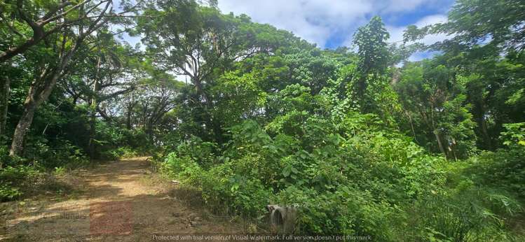 Address withheld Savusavu_31