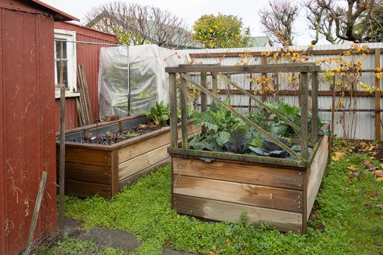 60 Grey Street Ashburton_16