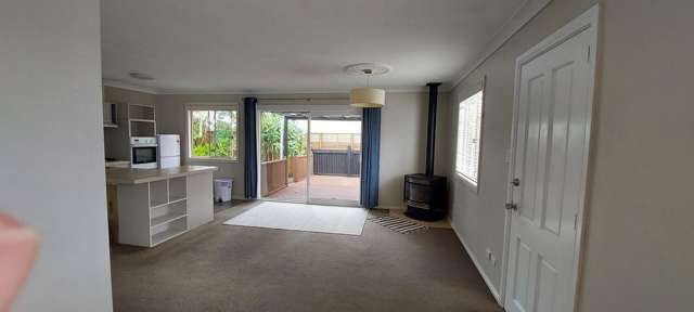 12a Victoria Street Levin_1