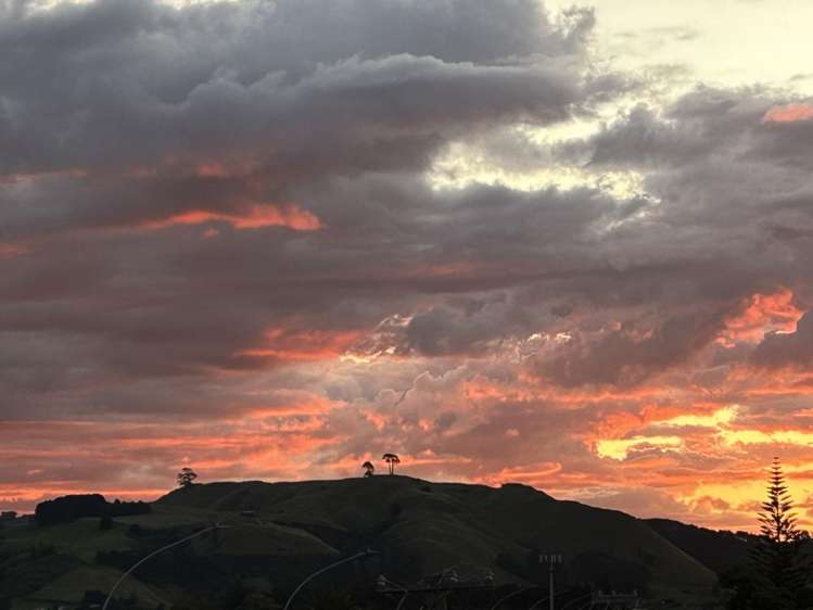 7/898 Papamoa Beach Road Papamoa_5