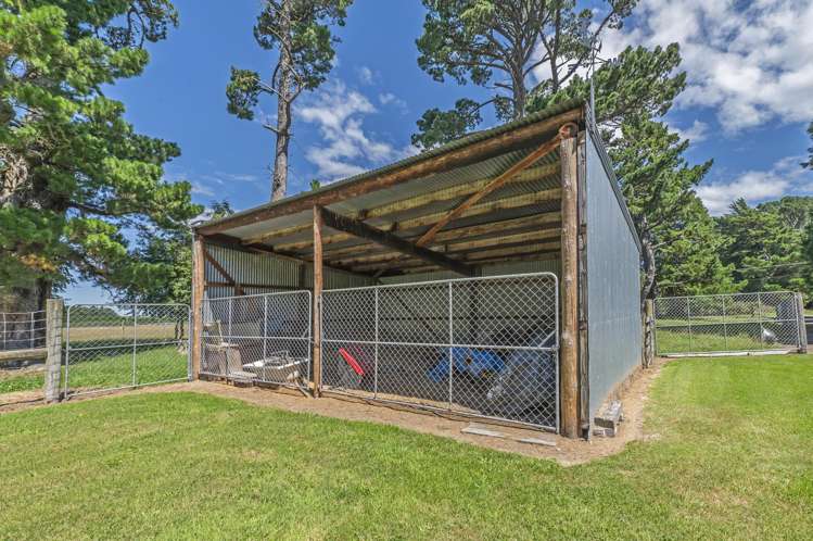 428 Kowai Road Springfield_23