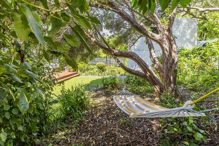 145 Campbell Street Karori_2