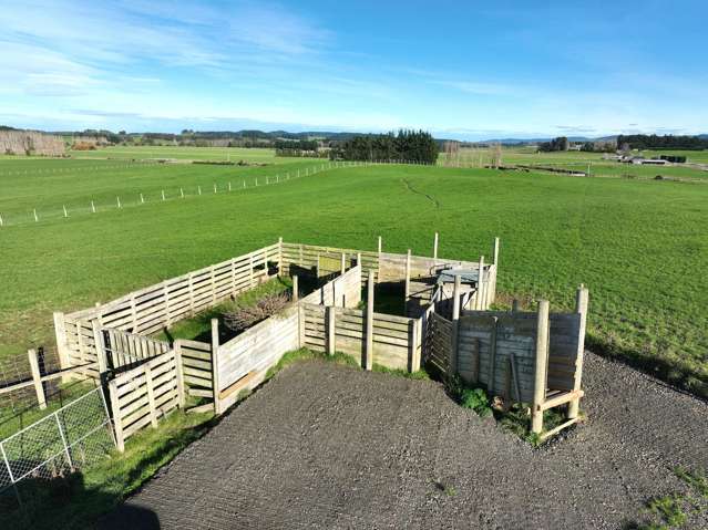 1475 Glencoe Highway Te Tipua_2