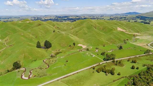 Mangaraupiu Road Eketahuna_2