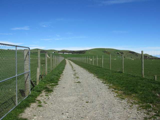 Western Southland Sheep Beef Forestry 571ha