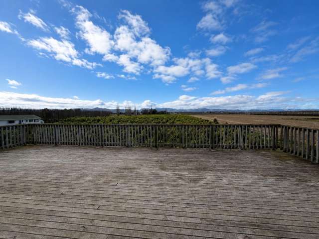 711 Awapuni Road Gisborne_1