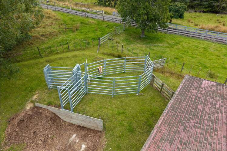 47 Barrells Road Pahiatua_13