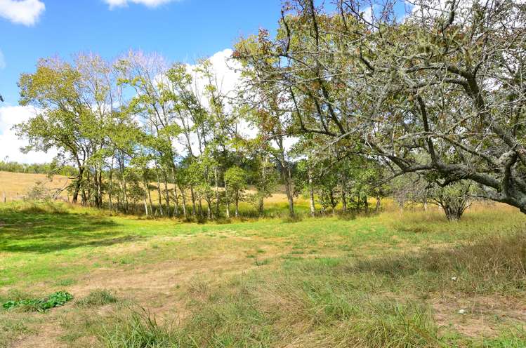 113 Foster Road Kumeu_8