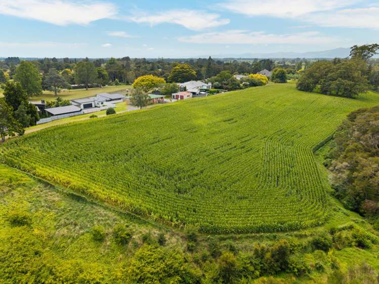 6 Seales Road Morrinsville_14