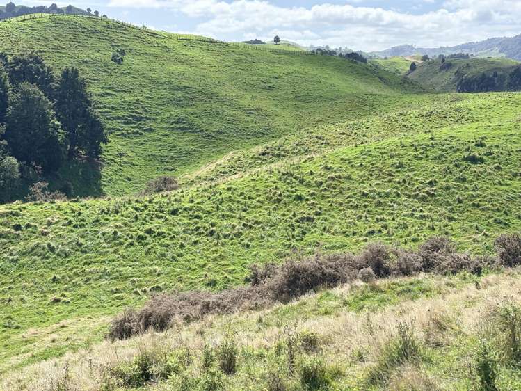 Paraketu Road Waimiha_14