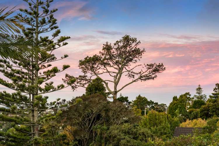 111 Carlisle Road Torbay_49