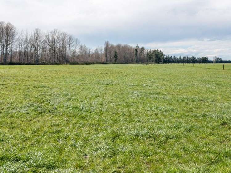 142 Anama Valetta Road Valetta_10