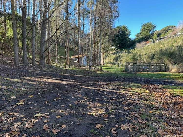 20 Ballantyne Road Poraiti_24