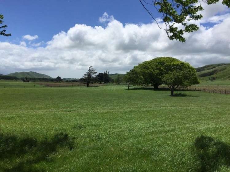 67 Piert Road Kumeroa_5