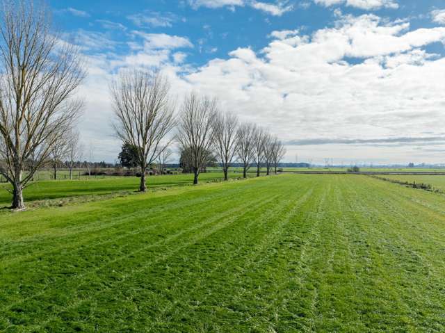 258 Holland Road Puketaha_4