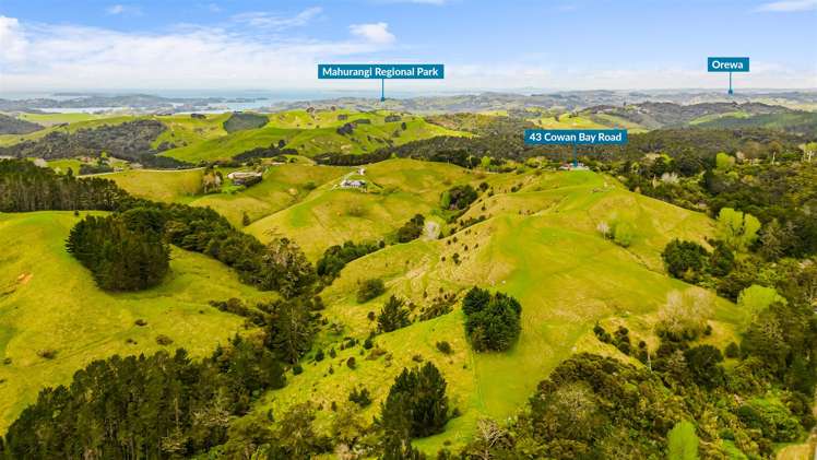 43 Cowan Bay Road Warkworth_20