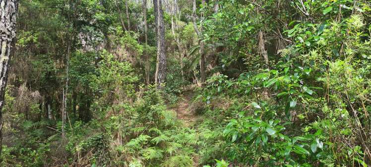 Garton Road Peria_14