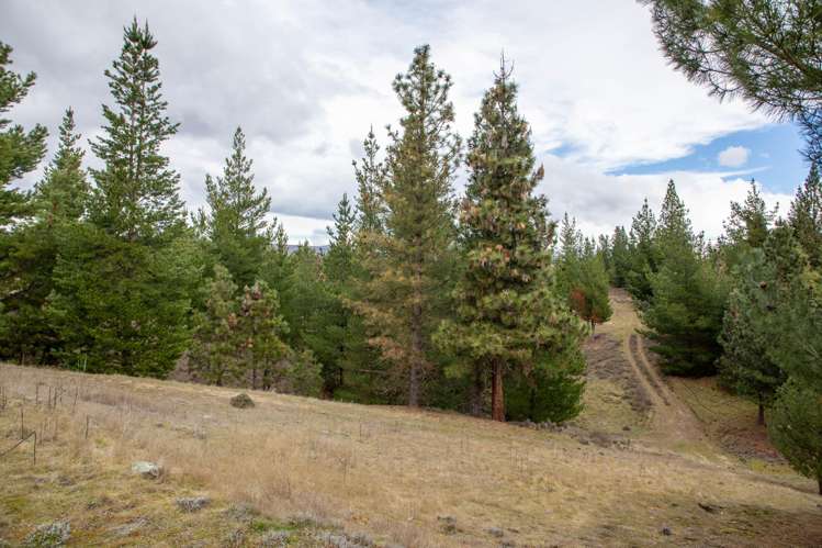 110 Letts Gully Road Alexandra_30