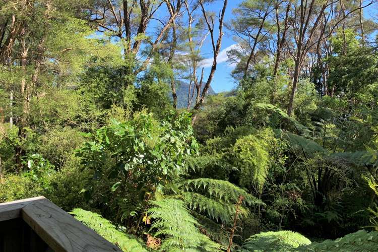 2297 Takaka-Collingwood Highway Collingwood_9