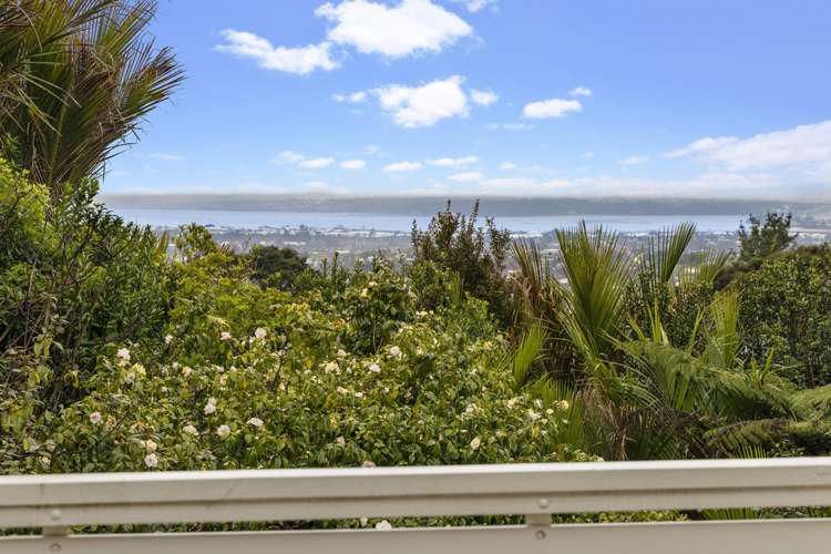 3 The Drive Titirangi_10