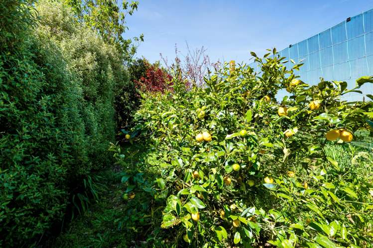 551 Frankley Road Hurworth_34