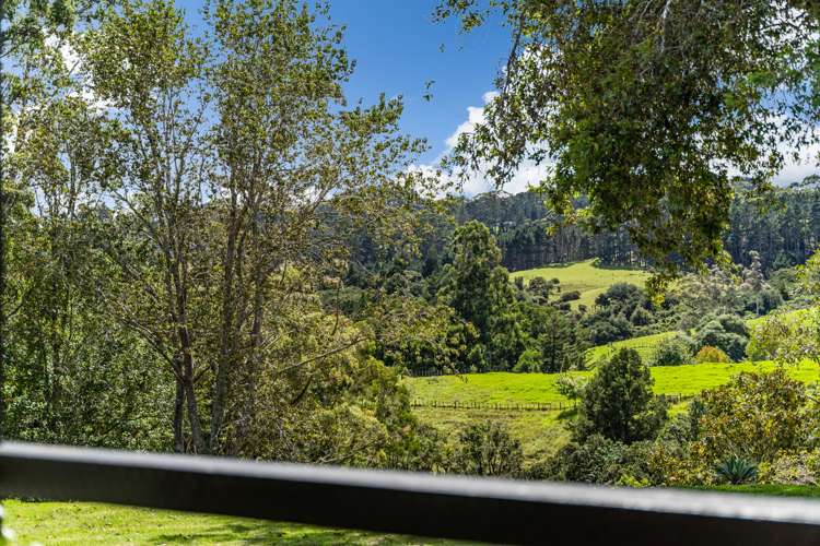 94 Ara-Kotinga Whitford_15