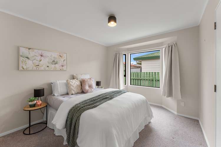 51a Rotherham Terrace Miramar_5