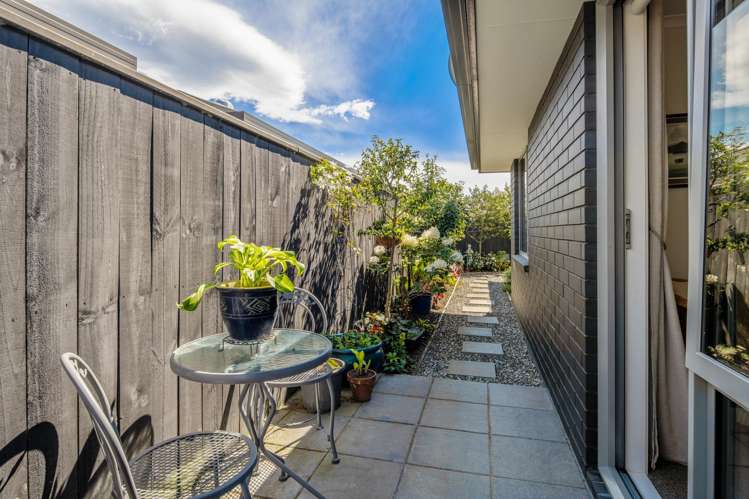 9 Korari Grove Redwoodtown_15