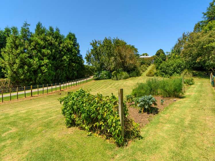 29 Whakamarama Road Whakamarama_23