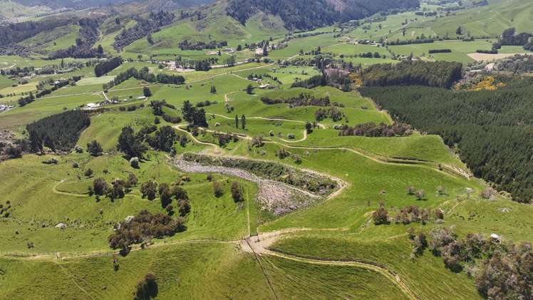 162 Upper Stanley Brook Stanley Brook_15