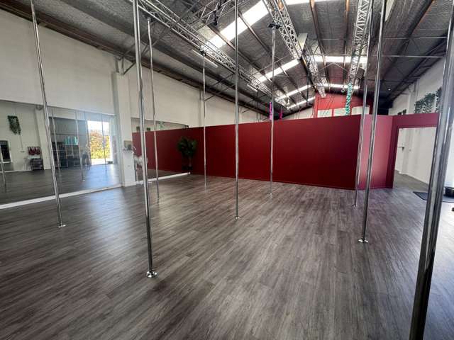 25 Carlyle Street Napier South_4