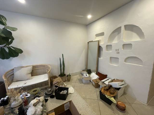 23 Jervois Road Ponsonby_2