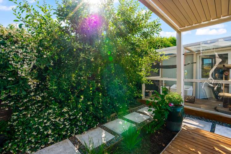 158 Rimu Street Te Kauwhata_15