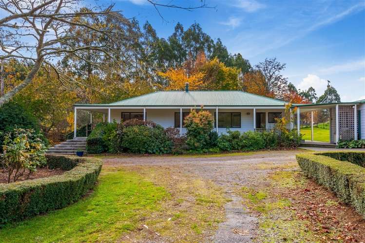 197 Whangamata Road Kinloch_15