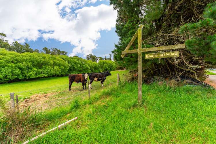 120 Summerleaze Road Otipua_37