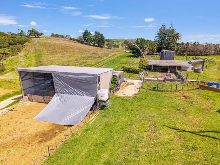 172 Manukau Heads Road Awhitu_13