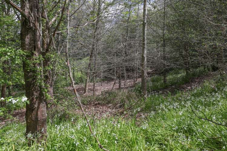 Glen Murray Road Rangiriri_26