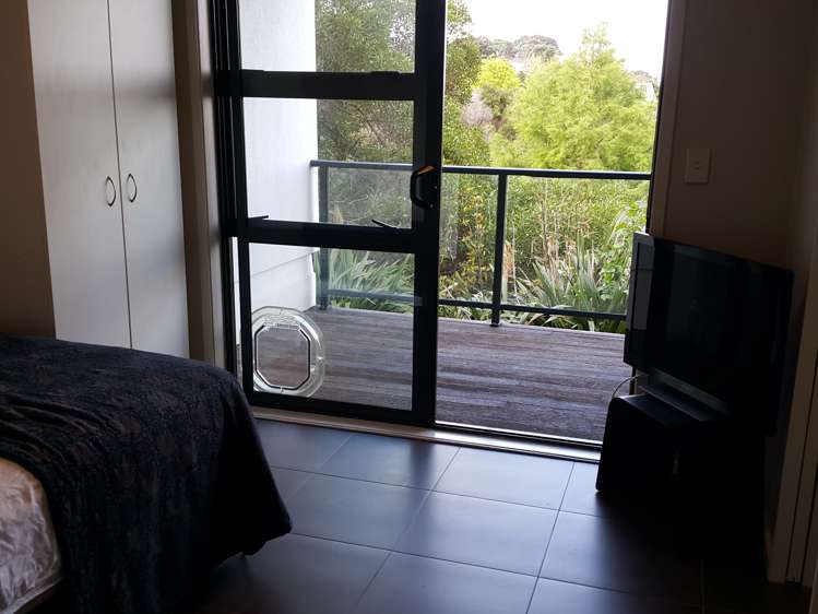 3j Laxon Terrace Remuera_5