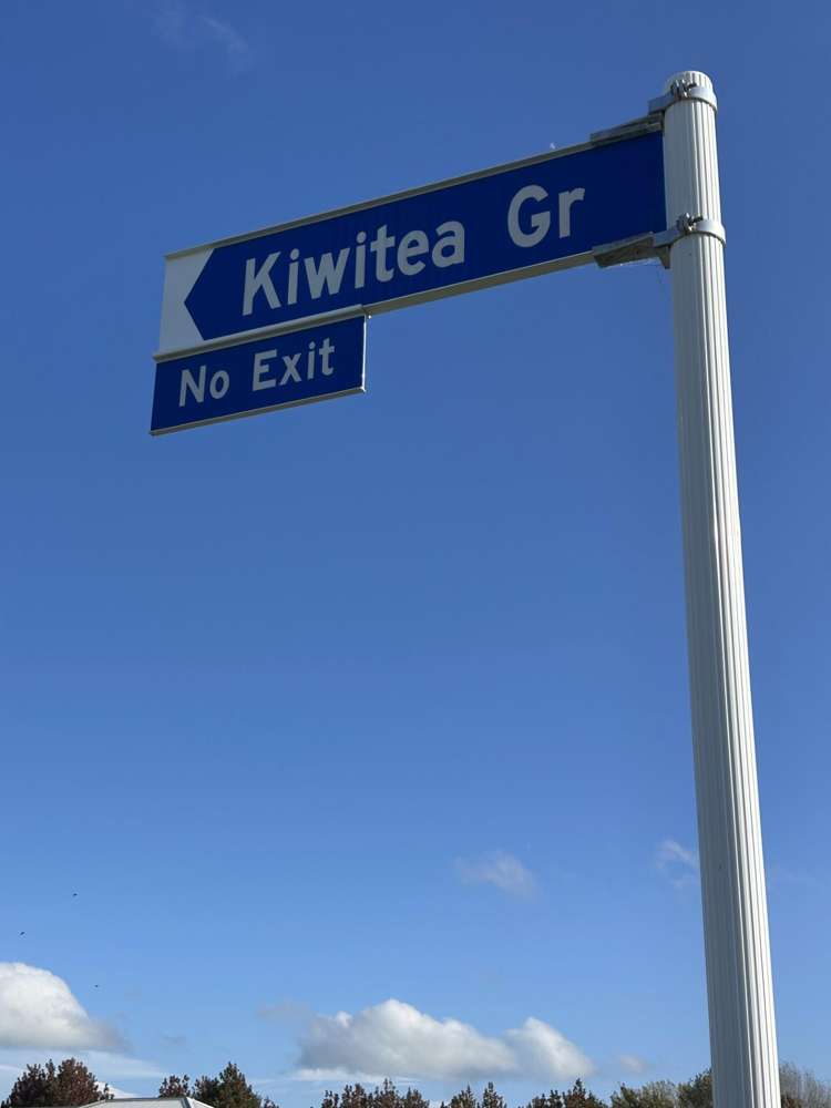 86 Arnott Street Subdivision_4