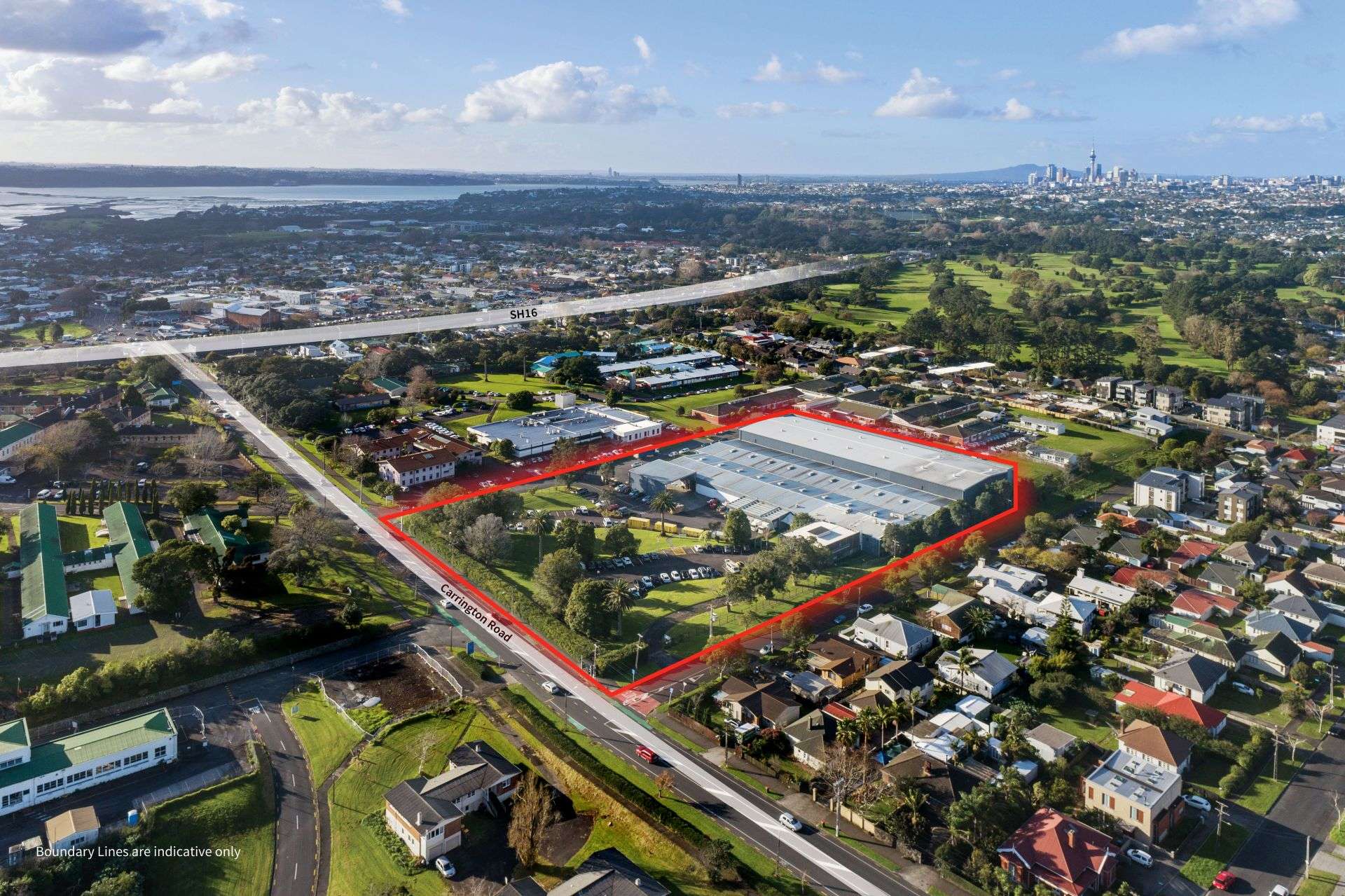 56 Carrington Road Point Chevalier_0