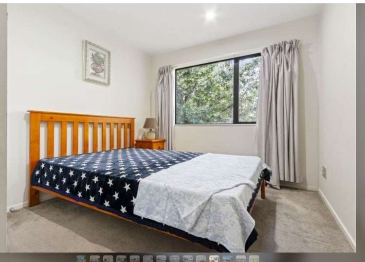 14a Meliora Place Avondale_9