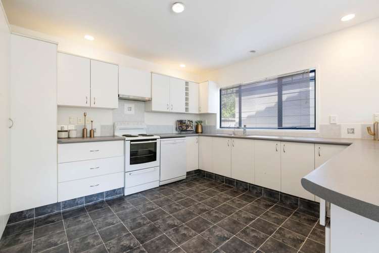 17c Fraser Road Narrow Neck_11