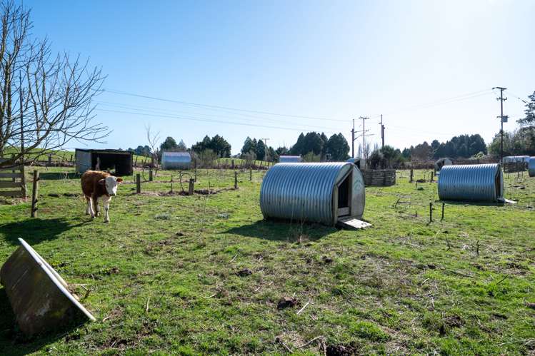 655 Whakapapa Road Kakahi_16