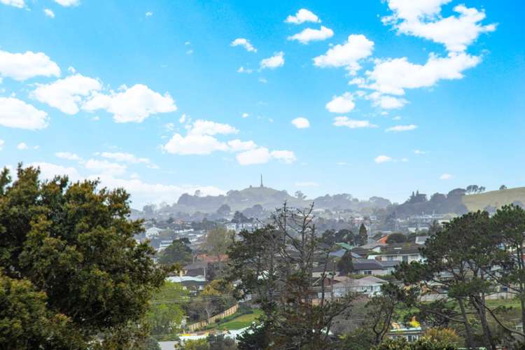 3/10 Akehurst Avenue New Lynn_15