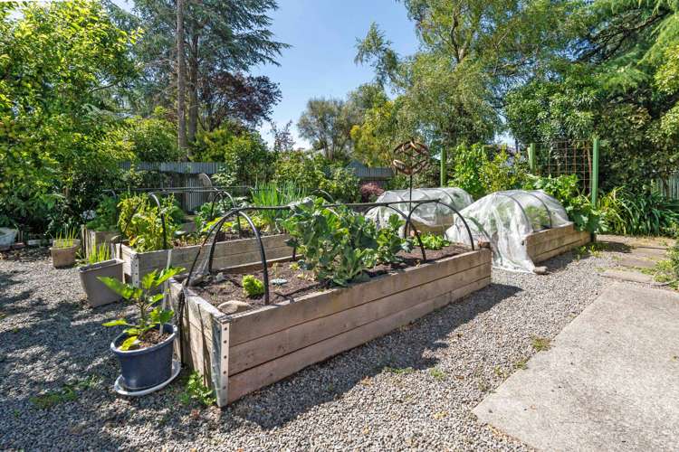 32 Waltons Avenue Masterton_15